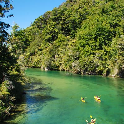 Golden Coast - Abel Tasman