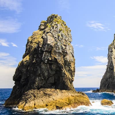 Bay of Islands