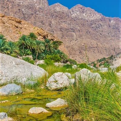 Wadi Tiwi