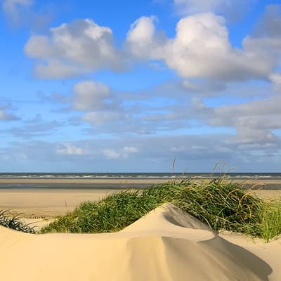 Les îles Frisonnes
