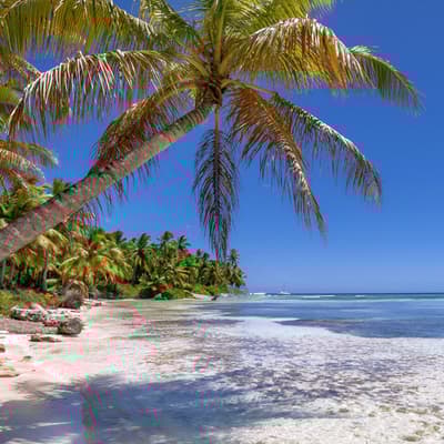Isla Saona