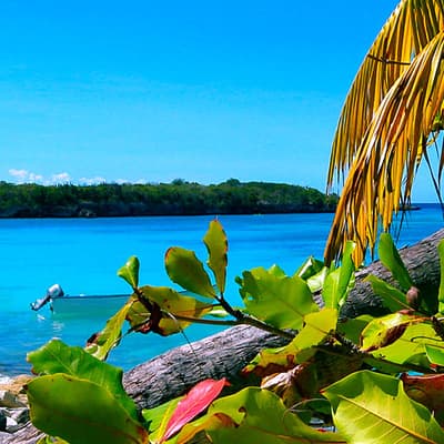 L'île de Catalina