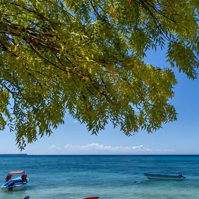 Bahia de la Aguila