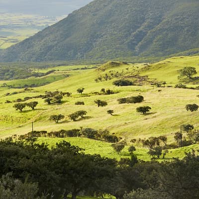 La plaine des Cafres