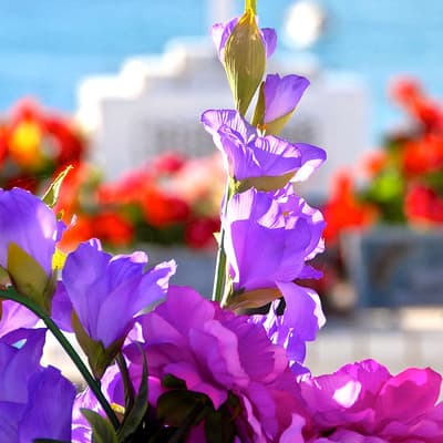 Cimetière marin de Lorient