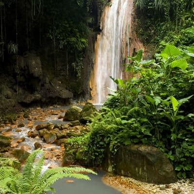 Millet Bird Sanctuary and Nature Trail