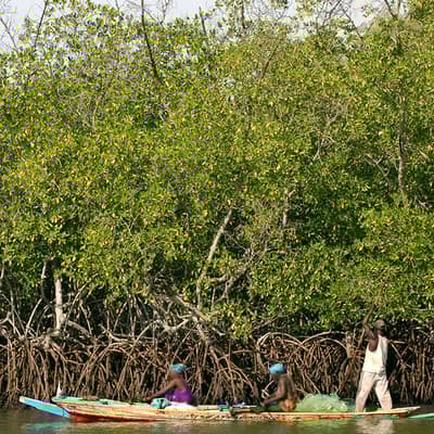 Sine-Saloum