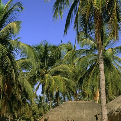 Casamance