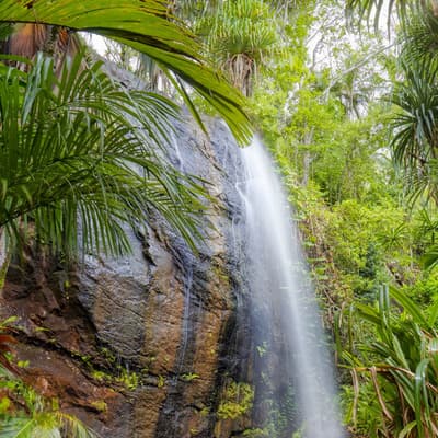 La Vallée de Mai