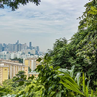 Mount Faber Park