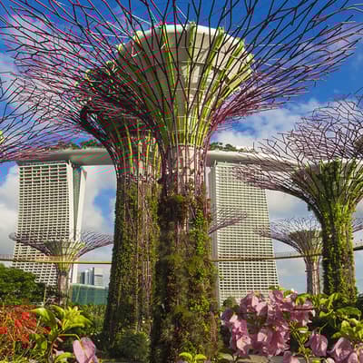Gardens by the bay