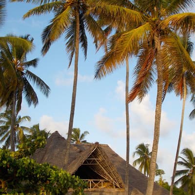 Zanzibar