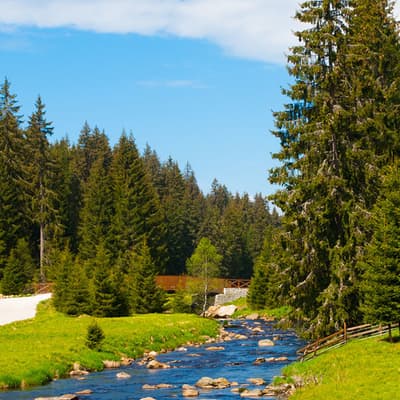 Le parc national de Sumava
