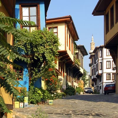 Bursa