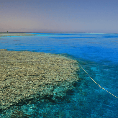 Le projet RED SEA