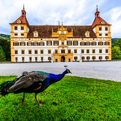 Le château d'Eggenberg