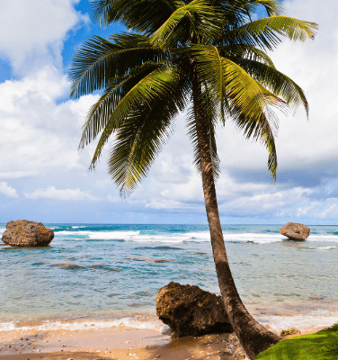 Bathsheba