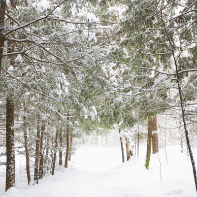 Le parc de la Gatineau