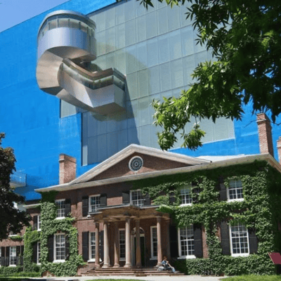Le Musée des beaux-arts de l’Ontario
