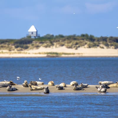Parc national de la mer des Wadden