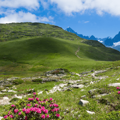 Les Alpes Françaises