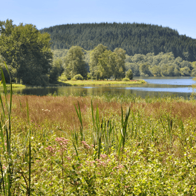 Le Parc Naturel Régional du Morvan