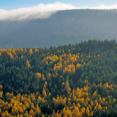 Le Parc Naturel Régional des Vosges du Nord
