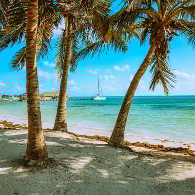 Ambergris Caye