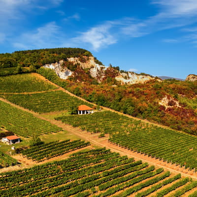 Tokaj