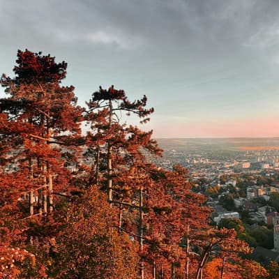 Pécs