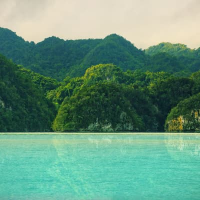 Le parc national de Los Haïtises