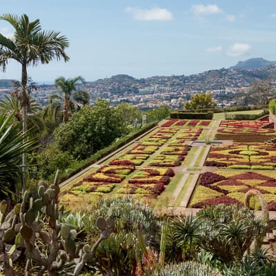 Visite des jardins botaniques de Funchal