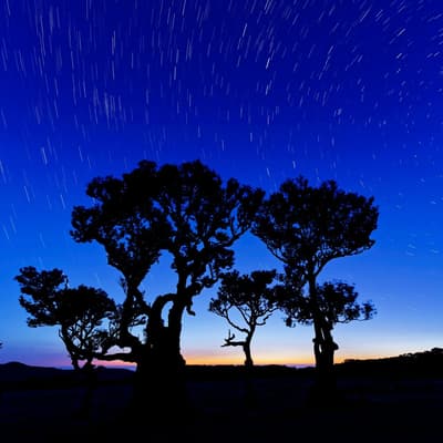 Observation des étoiles à Paul da Serra