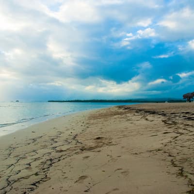 Playa Dorada