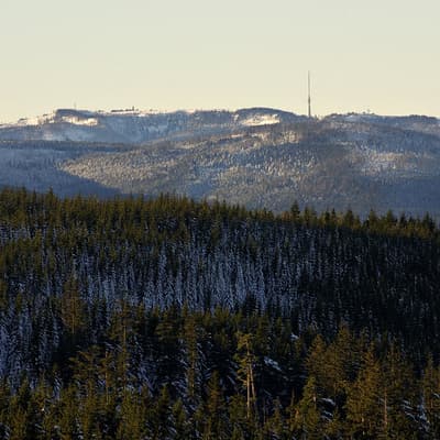 Hornisgrinde