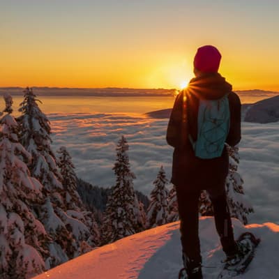 North Vancouver