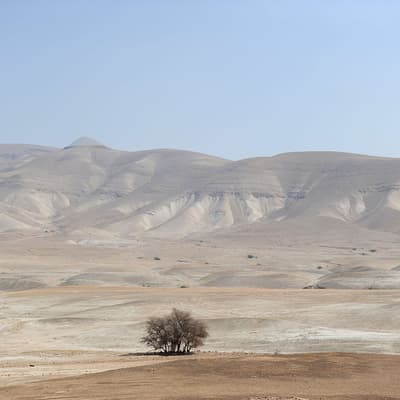 La vallée du Jourdain
