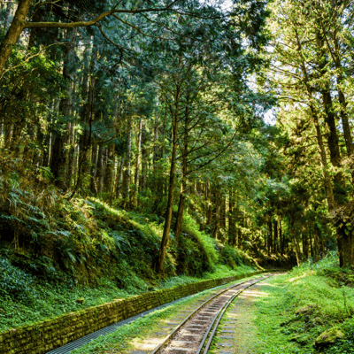 Alishan