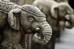  Éléphants