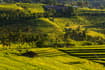 Bali en Juillet