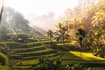Ubud & Centre
