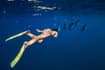 Nager avec les Dauphins
