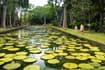 Jardin Pamplemousses