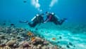 Plongée et Snorkeling
