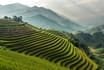 Sapa