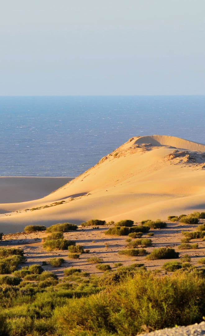 Agadir et l'environnement