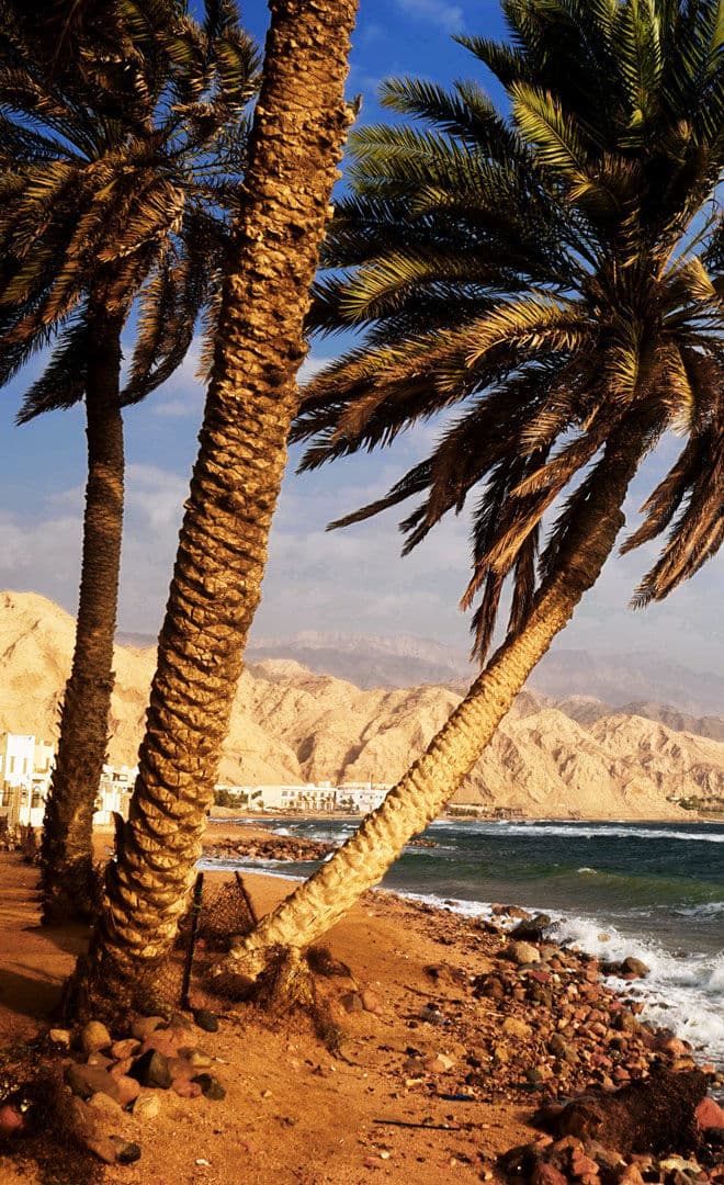Aqaba et l'environnement