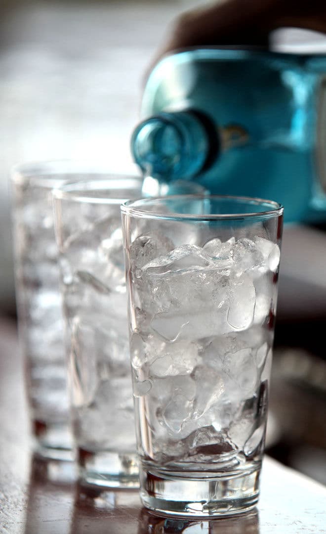 Sussex Gin Fest