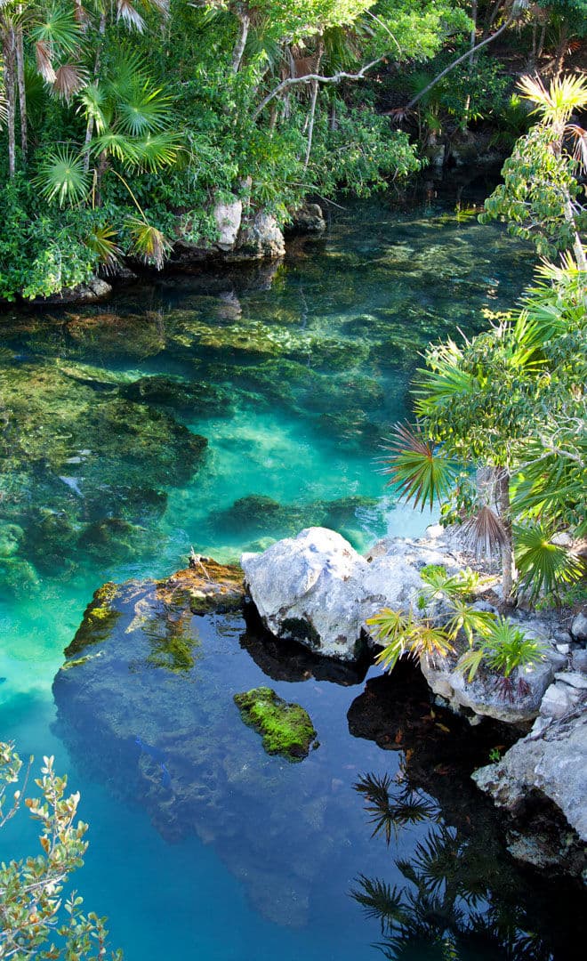 Cancun et l'environnement