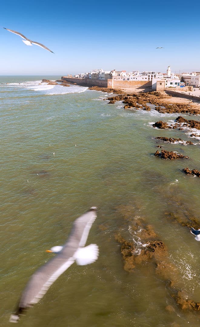 Essaouira et l'environnement